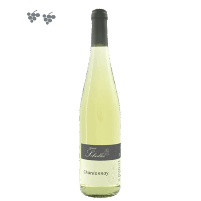 Sommerangebot 12 Fl. Chardonnay trocken - ein fruchtig, trockener Chardonnay Mosel