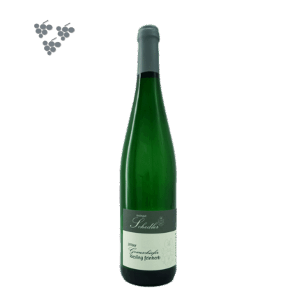Grauschiefer Riesling feinherb Mosel - ein fruchtig, mineralisches Glas Wein der besonderen Art