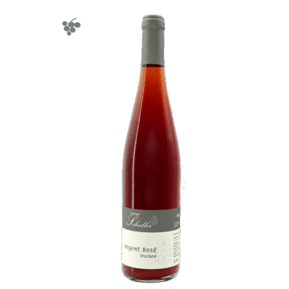 fruchtiger Regent Rosé trocken von der Mosel