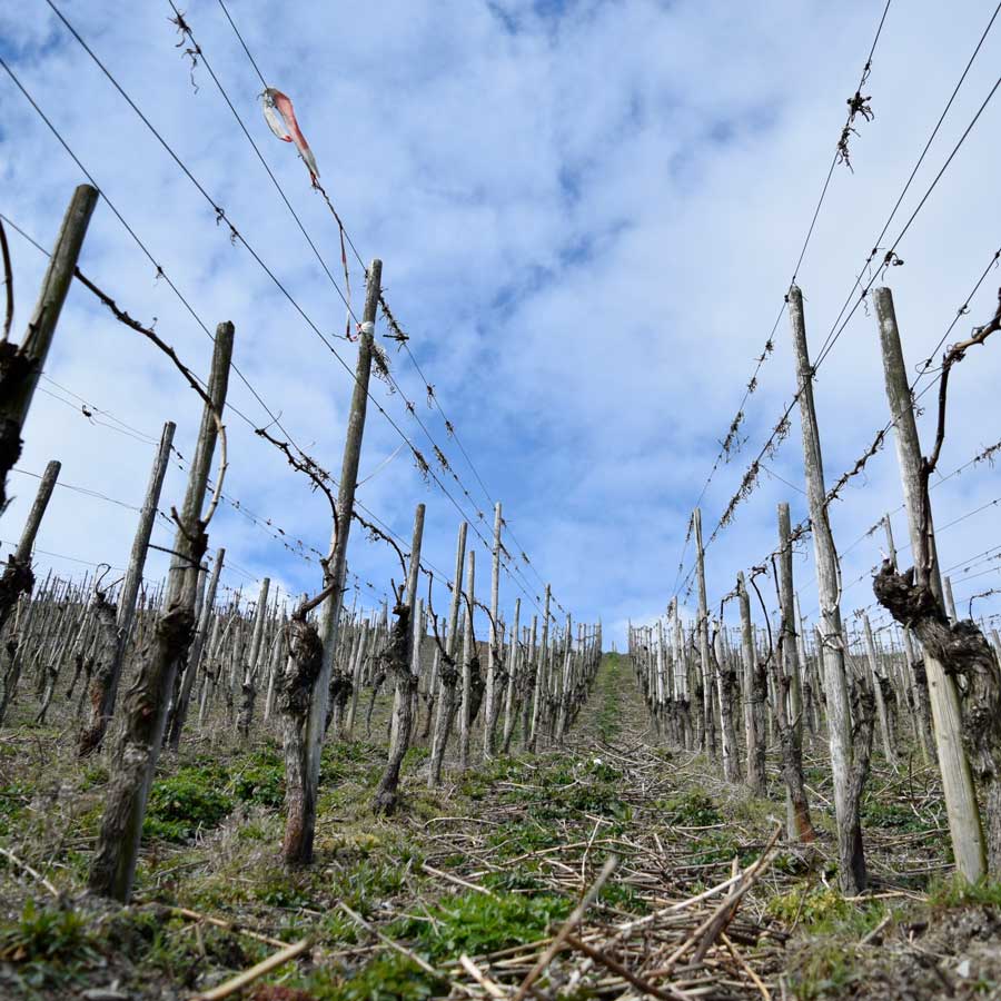 steillage im winter