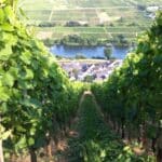 steillage sommer