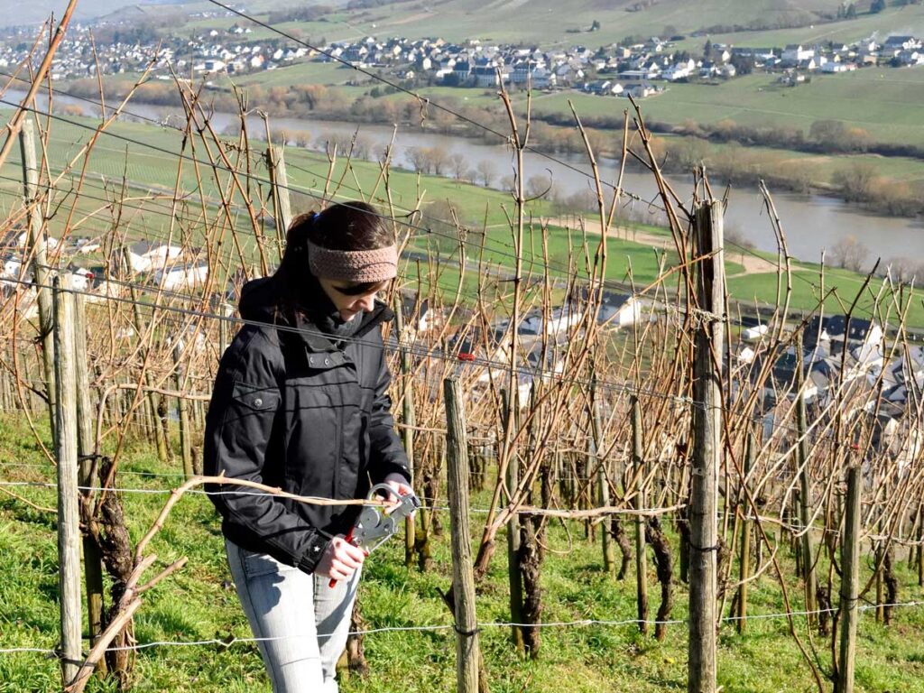 waehrend des Bindens